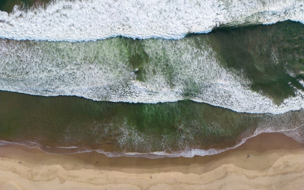 uma vista aérea de uma praia e oceano