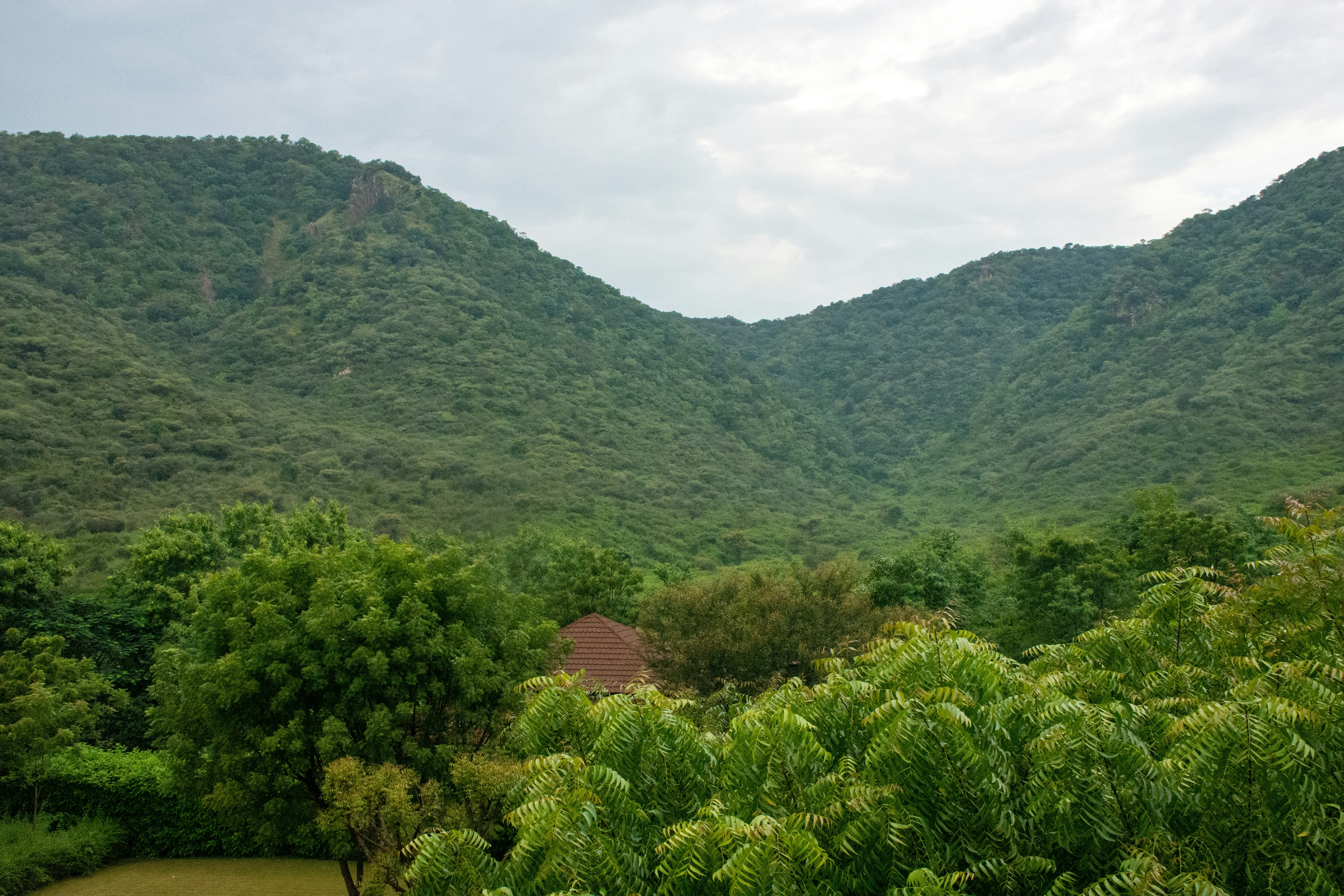 Photo by sandeshsharma27