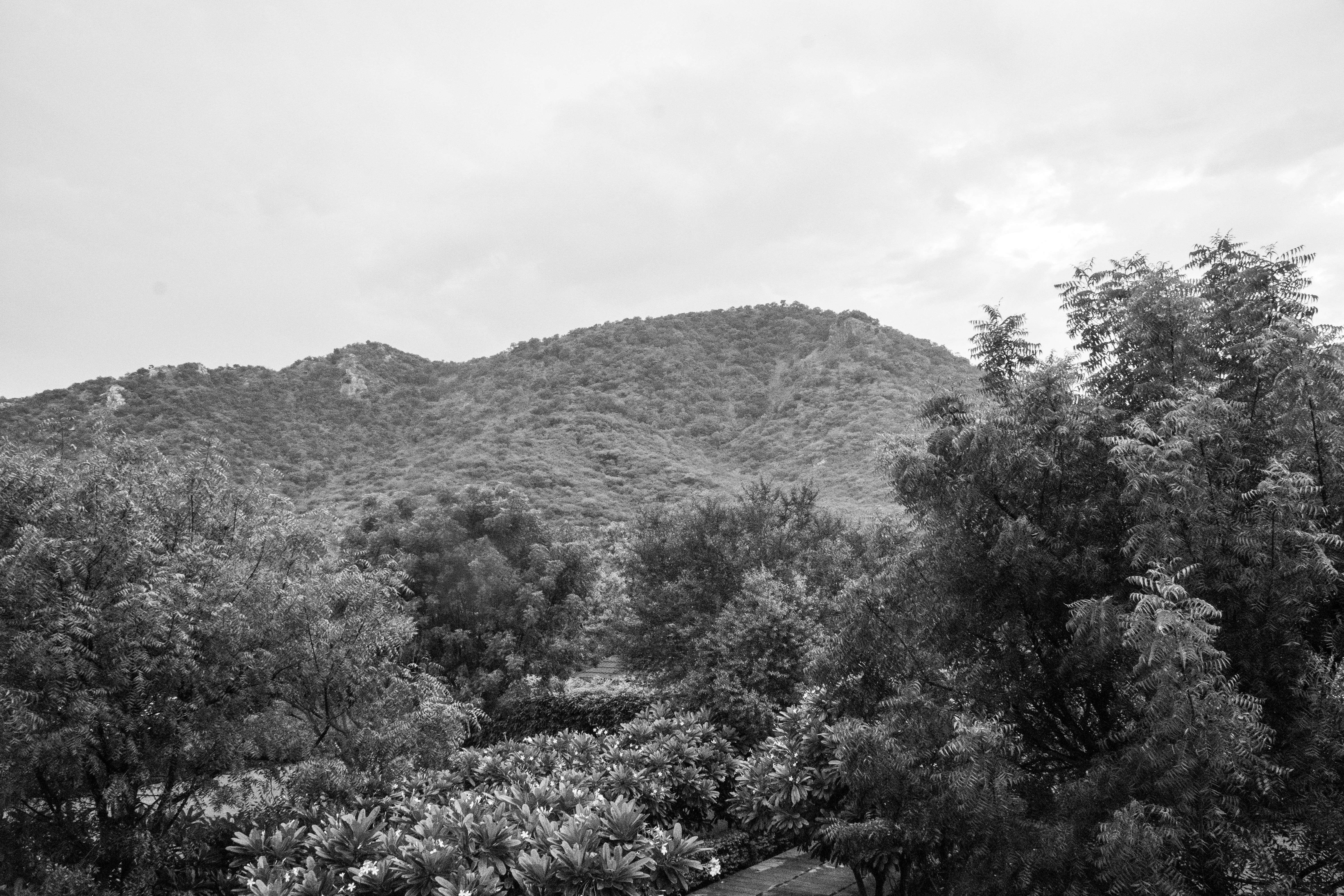 Photo by sandeshsharma27