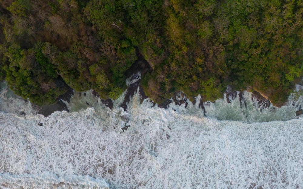 an aerial view of the ocean and trees