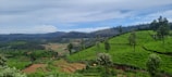 A breathtaking landscape of Sumbawa's lush green hills.