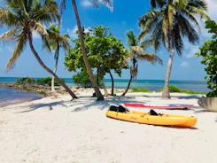 a couple of surfboards sitting on top of a sandy beach
