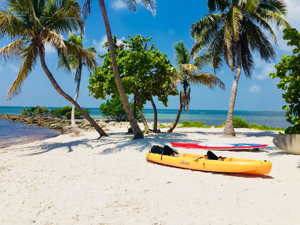 a couple of surfboards sitting on top of a sandy beach