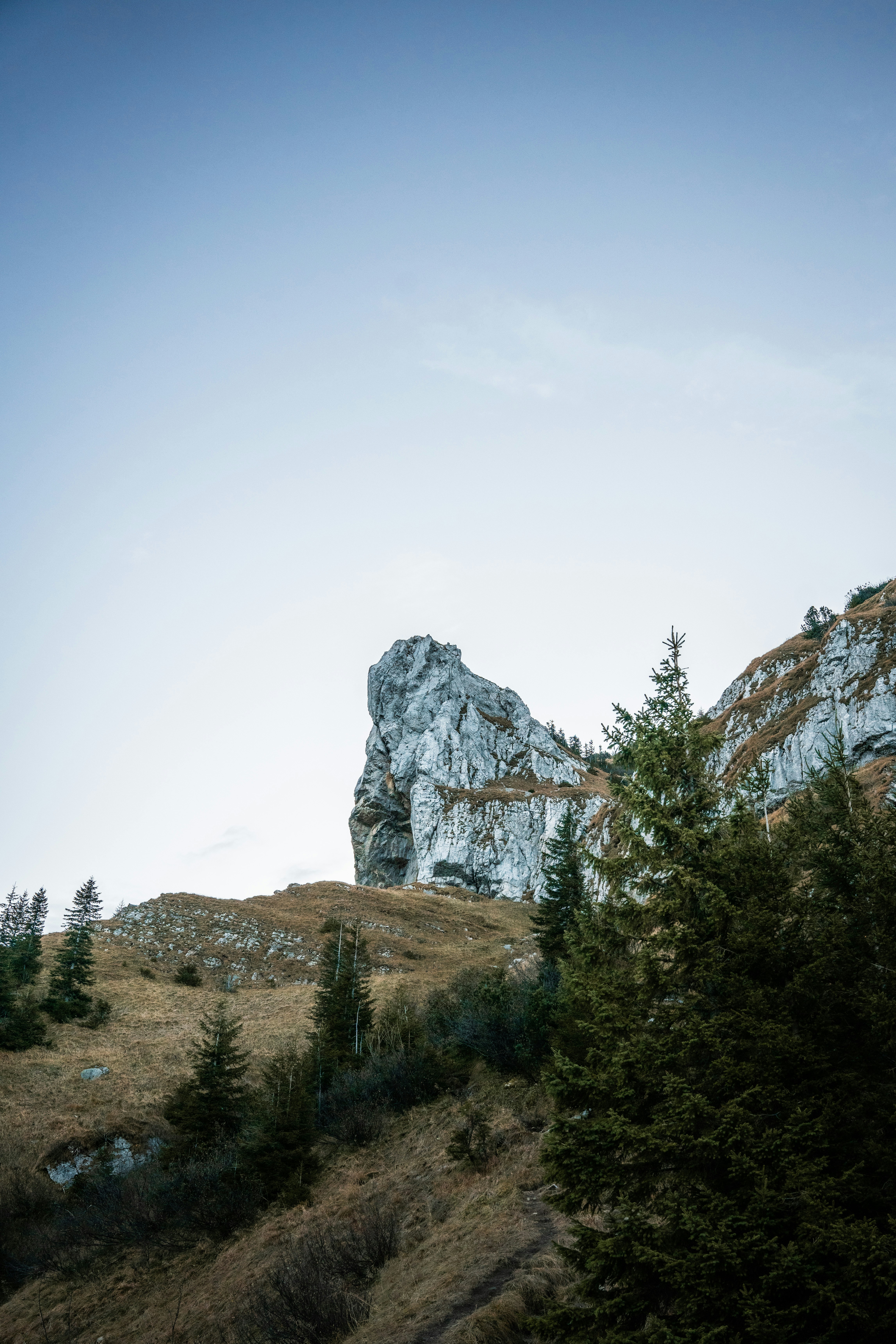 Photo by lars_groenendijk