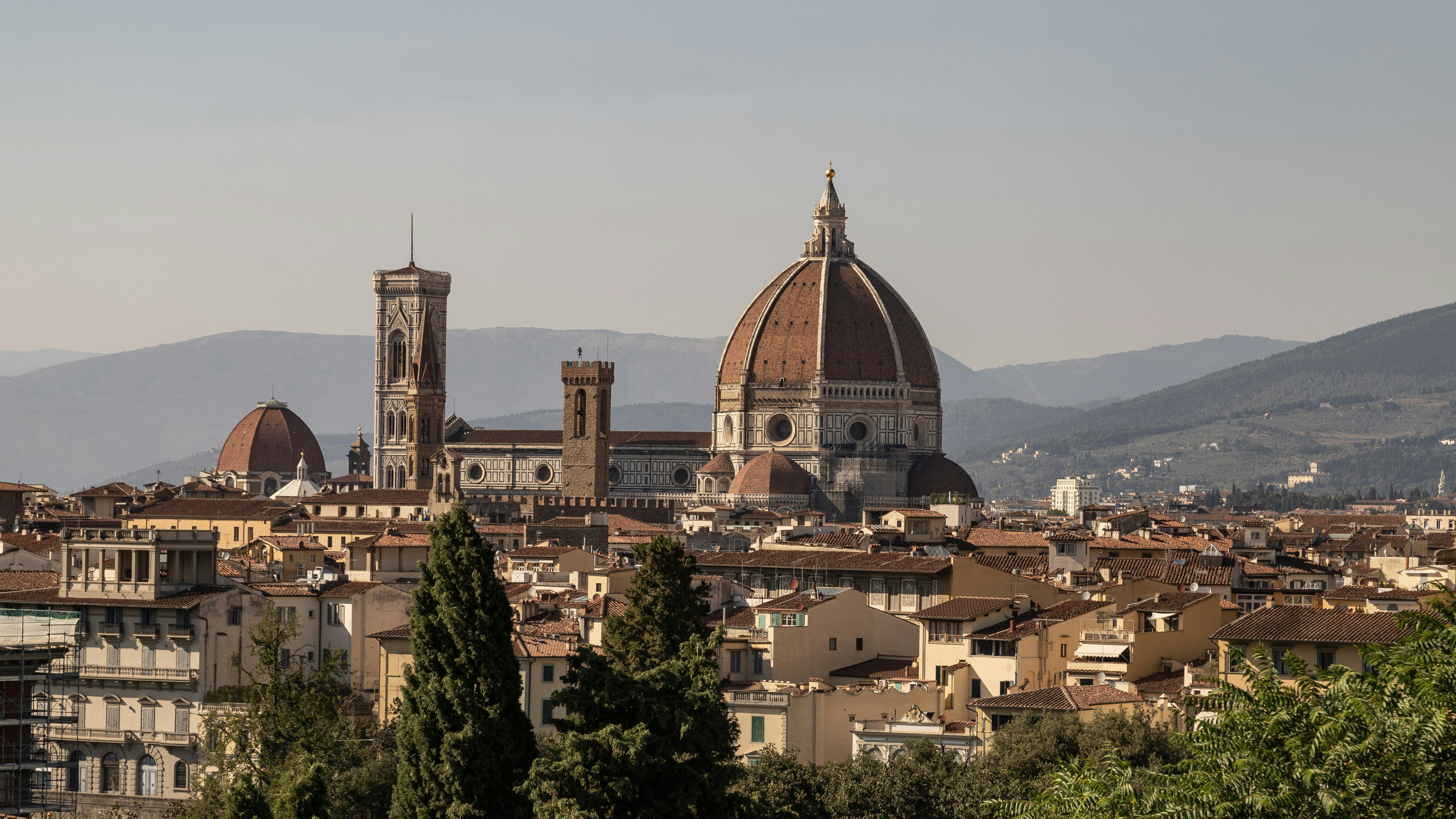 Photo by shutter_speed_