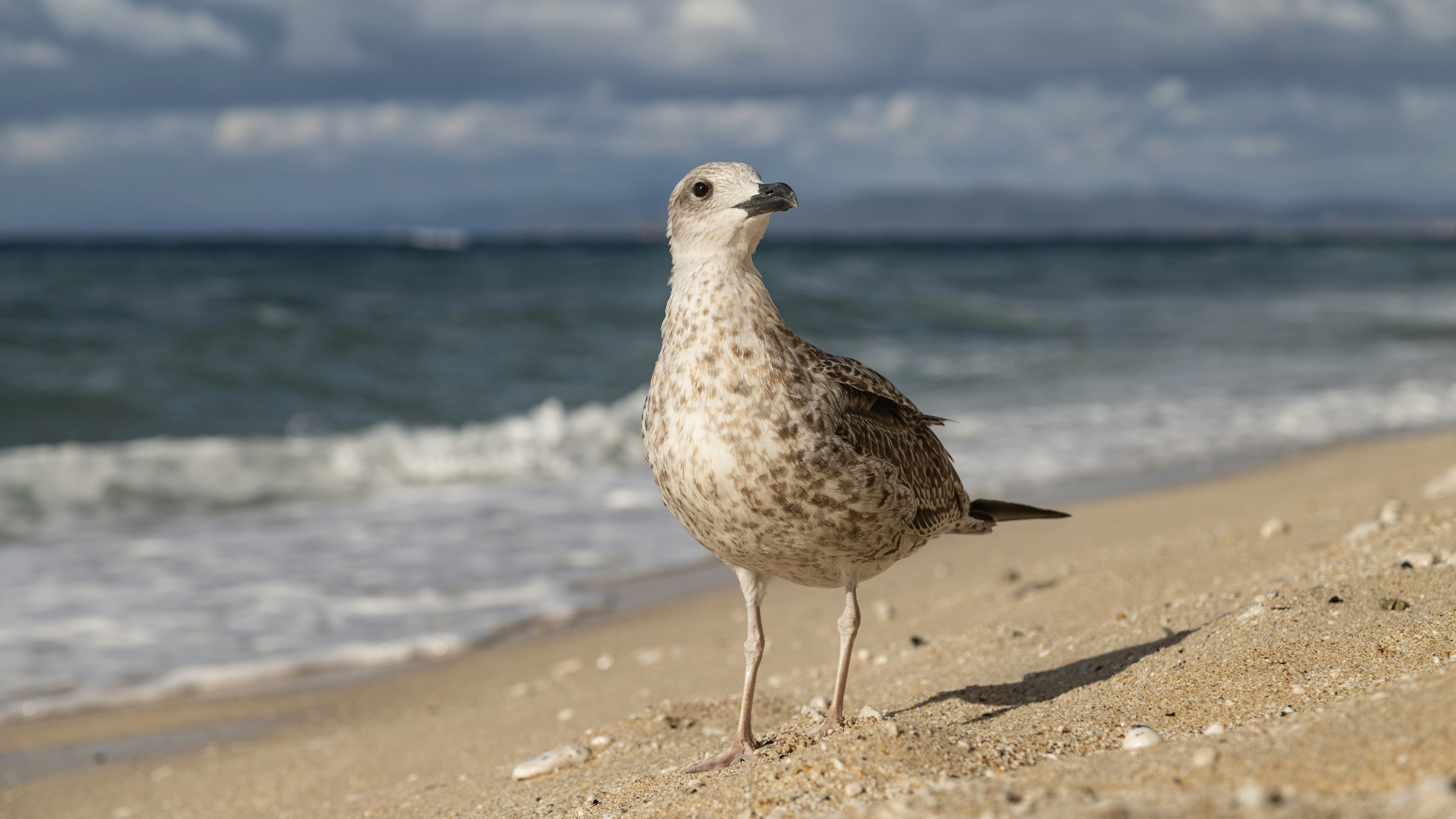 Photo by shutter_speed_