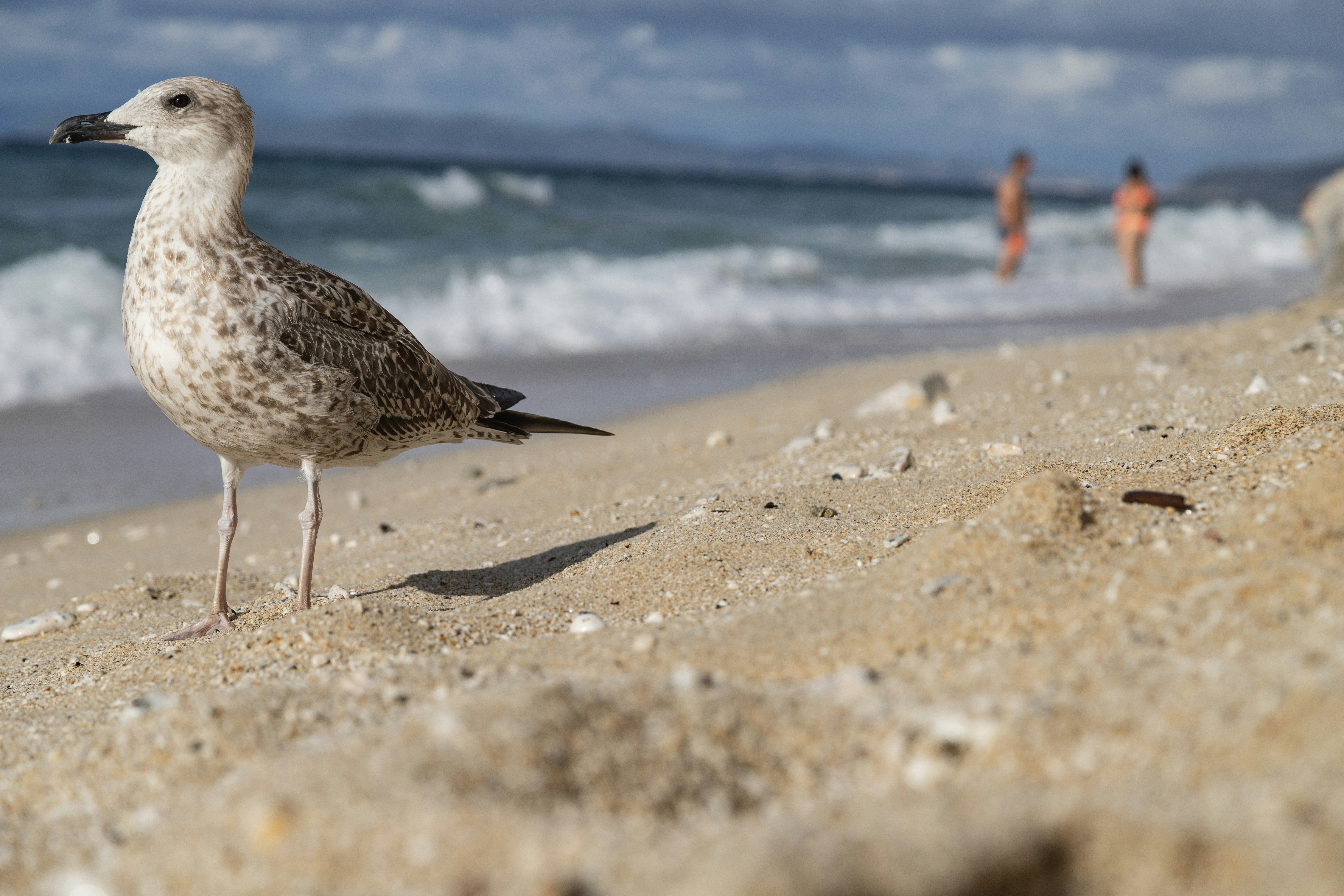 Photo by shutter_speed_