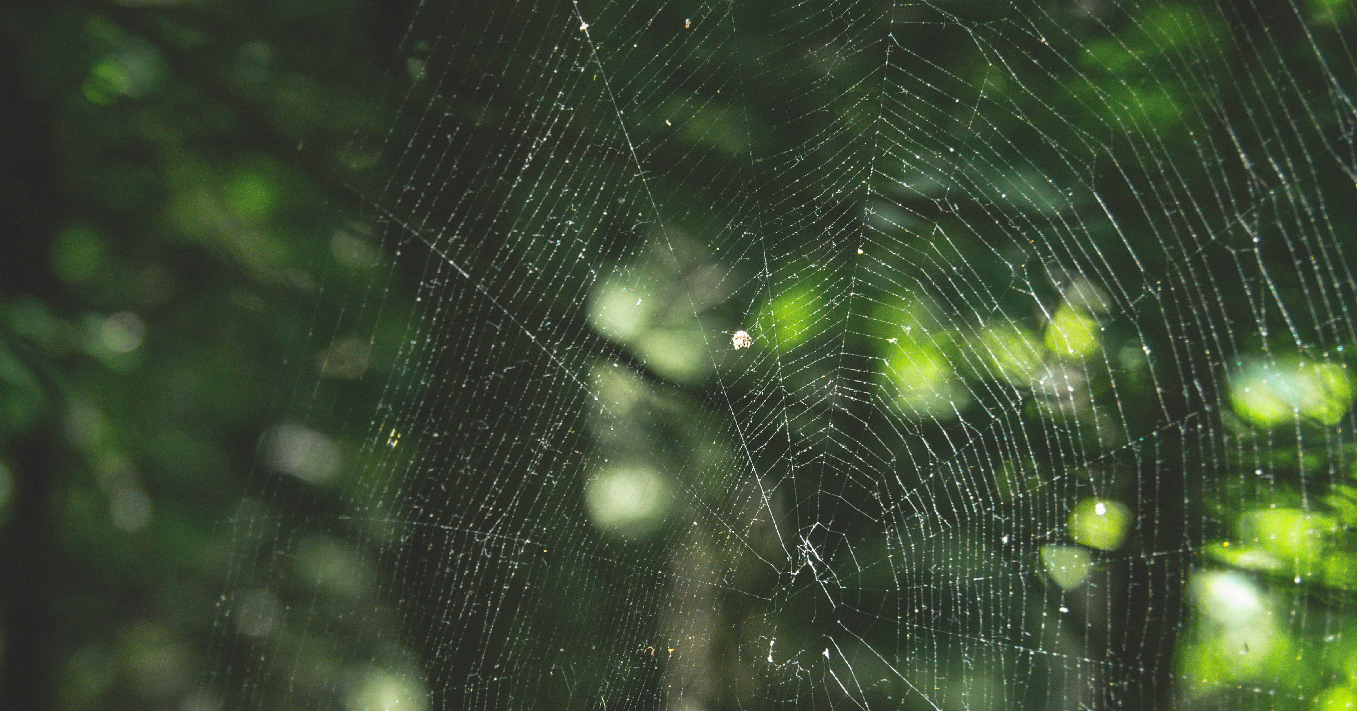 Photo by kevlography