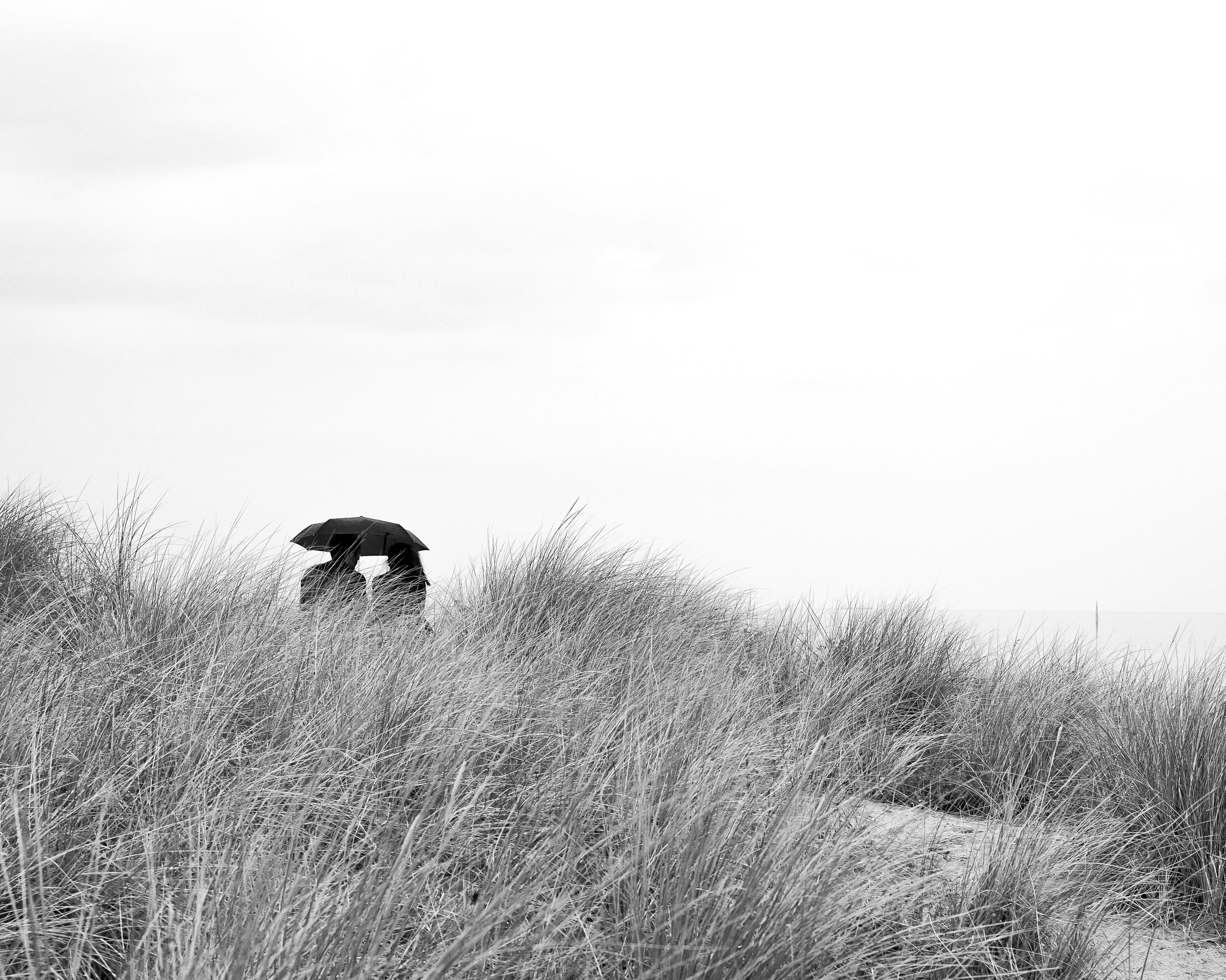 From the 2003 edition of The Muse: Tears of the Sea