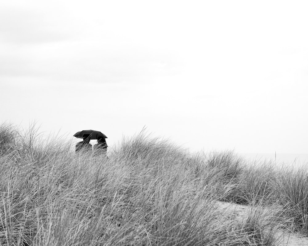 a couple of people that are standing in the grass