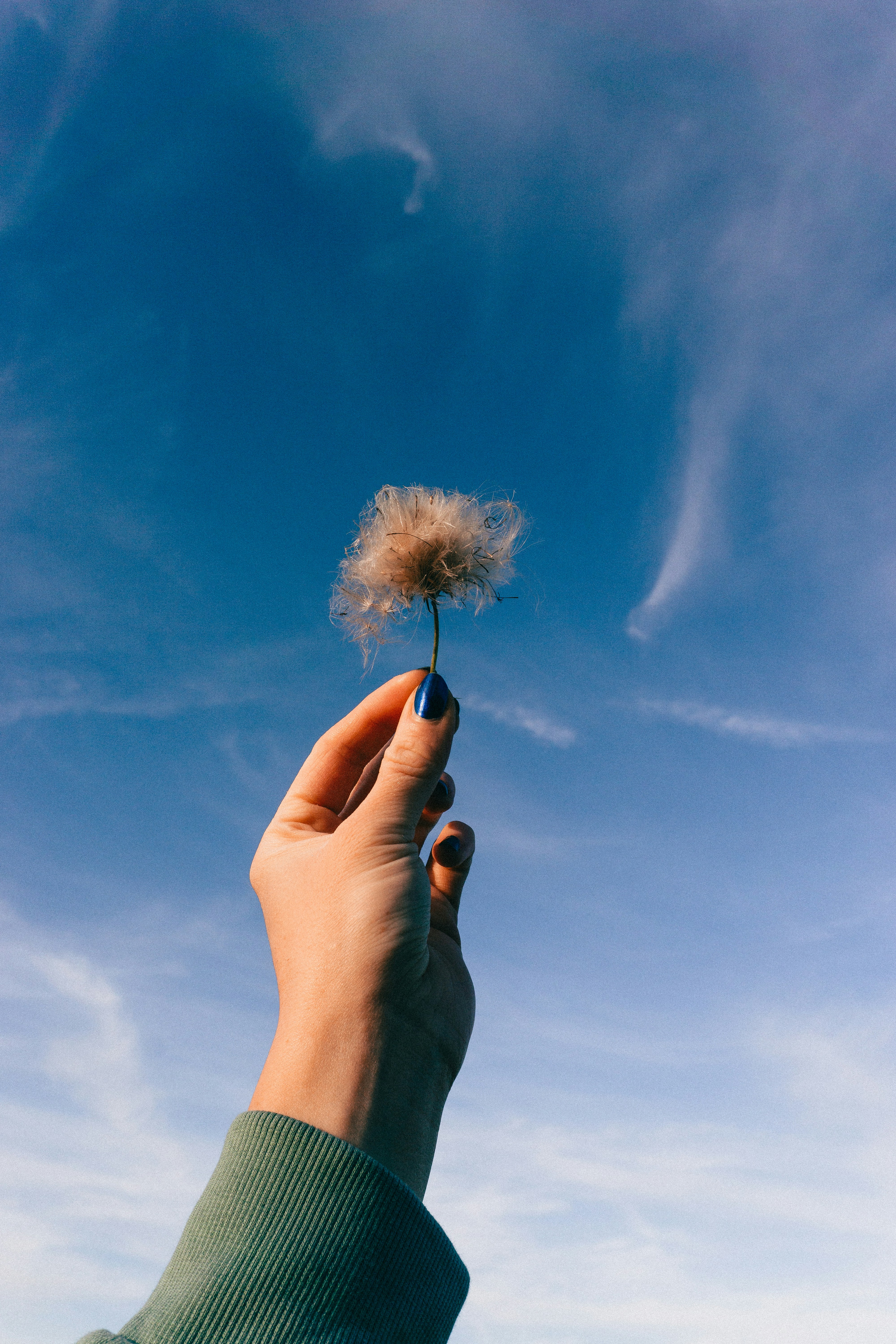 Photo by sindy_suessengut