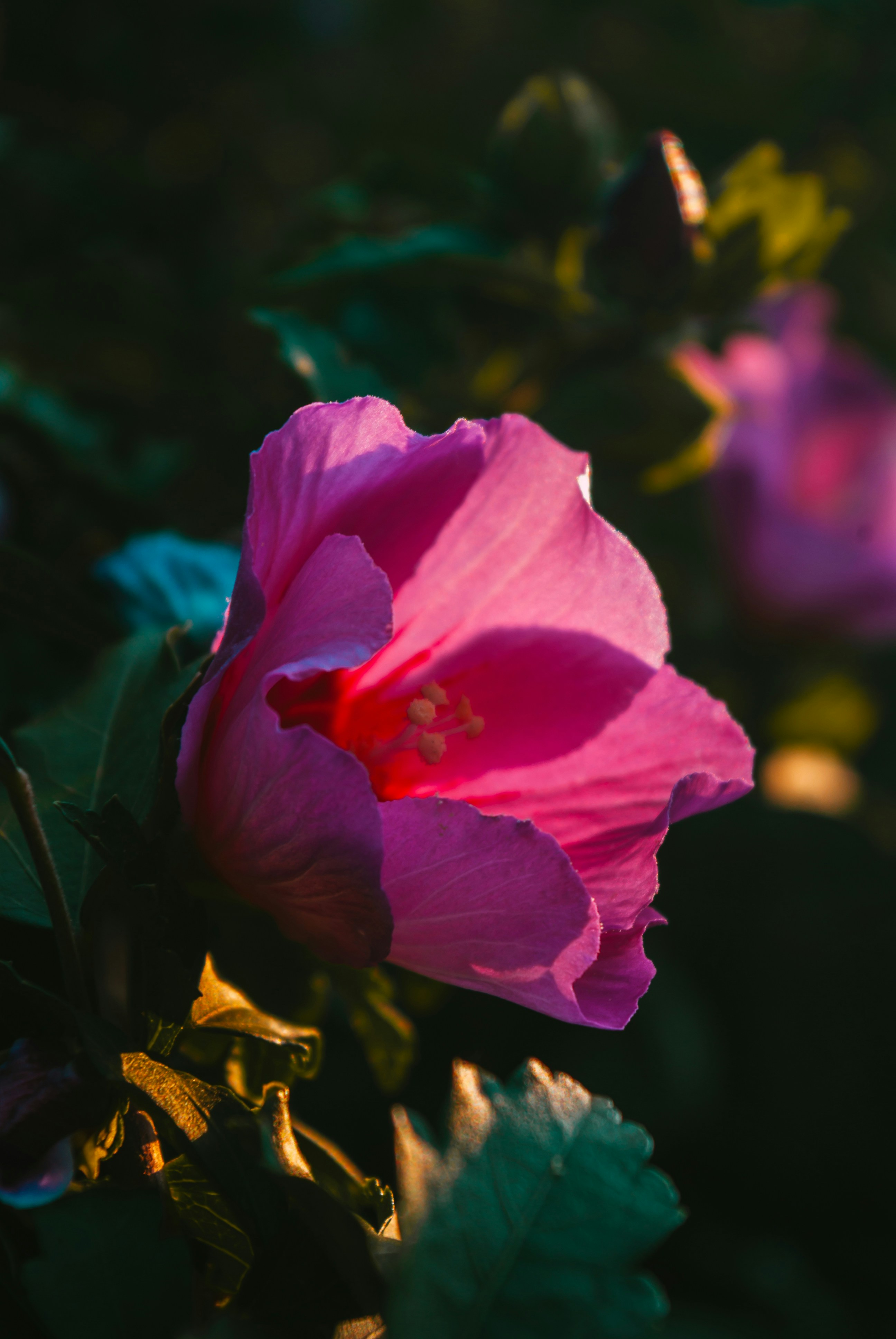 Photo by moonmoons_days