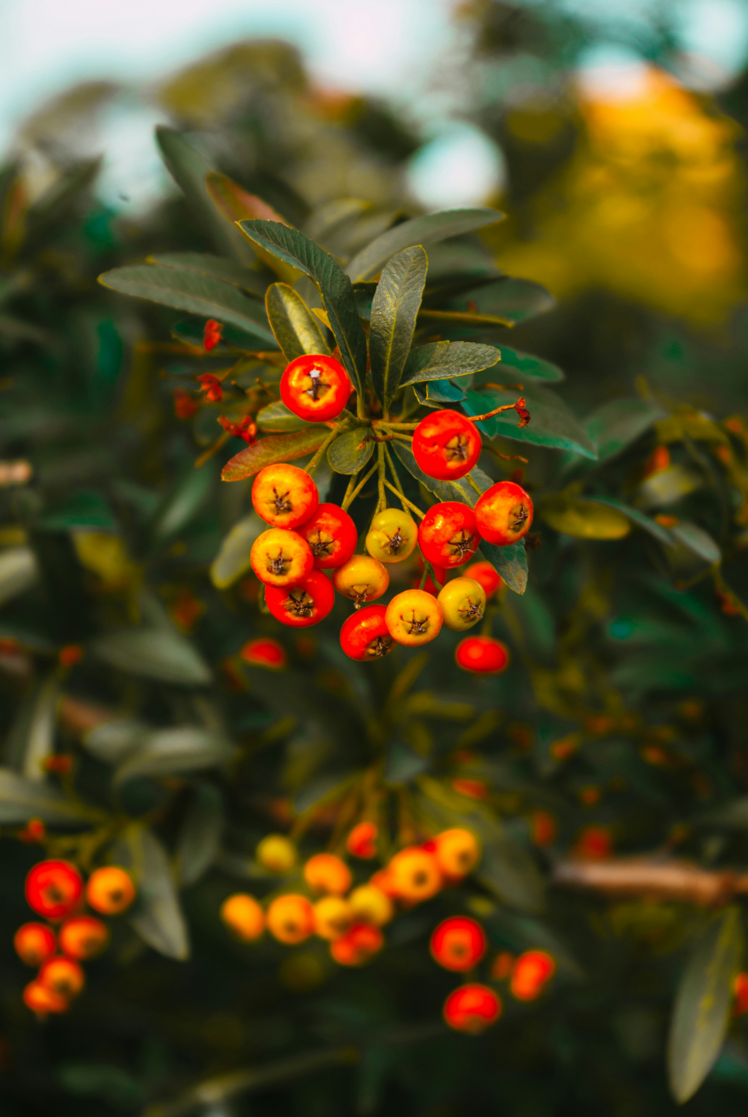 Photo by moonmoons_days