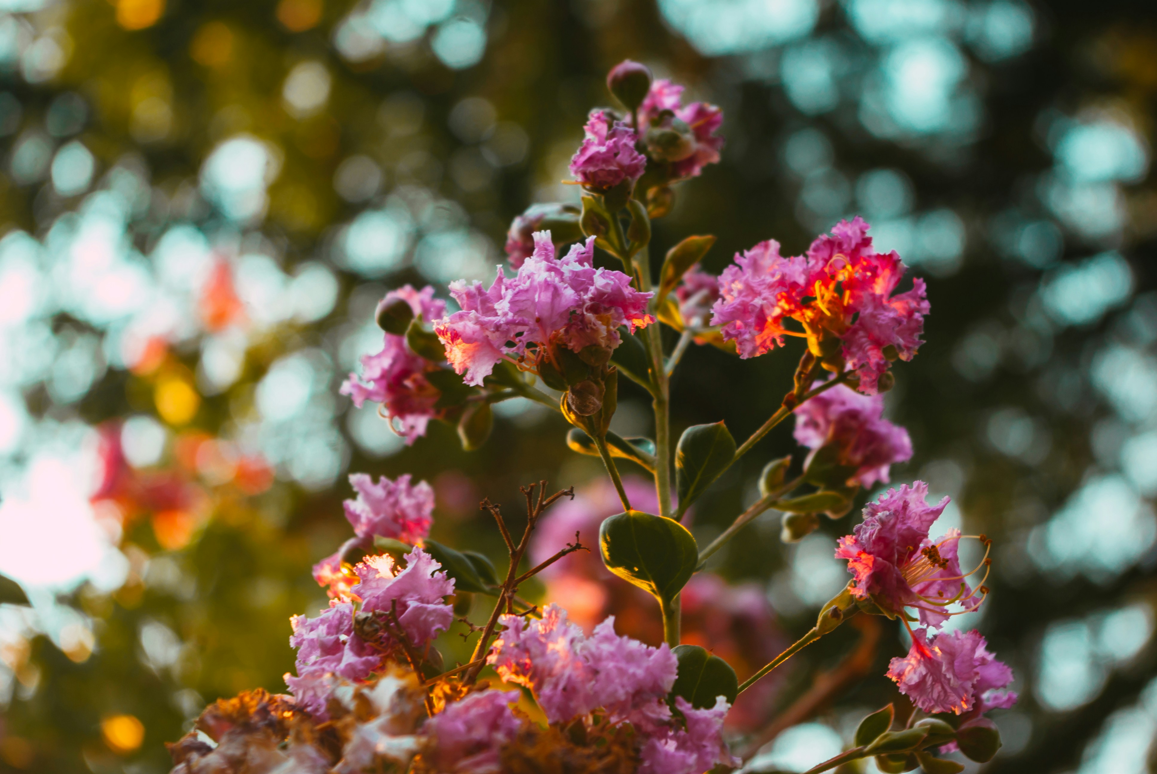 Photo by moonmoons_days