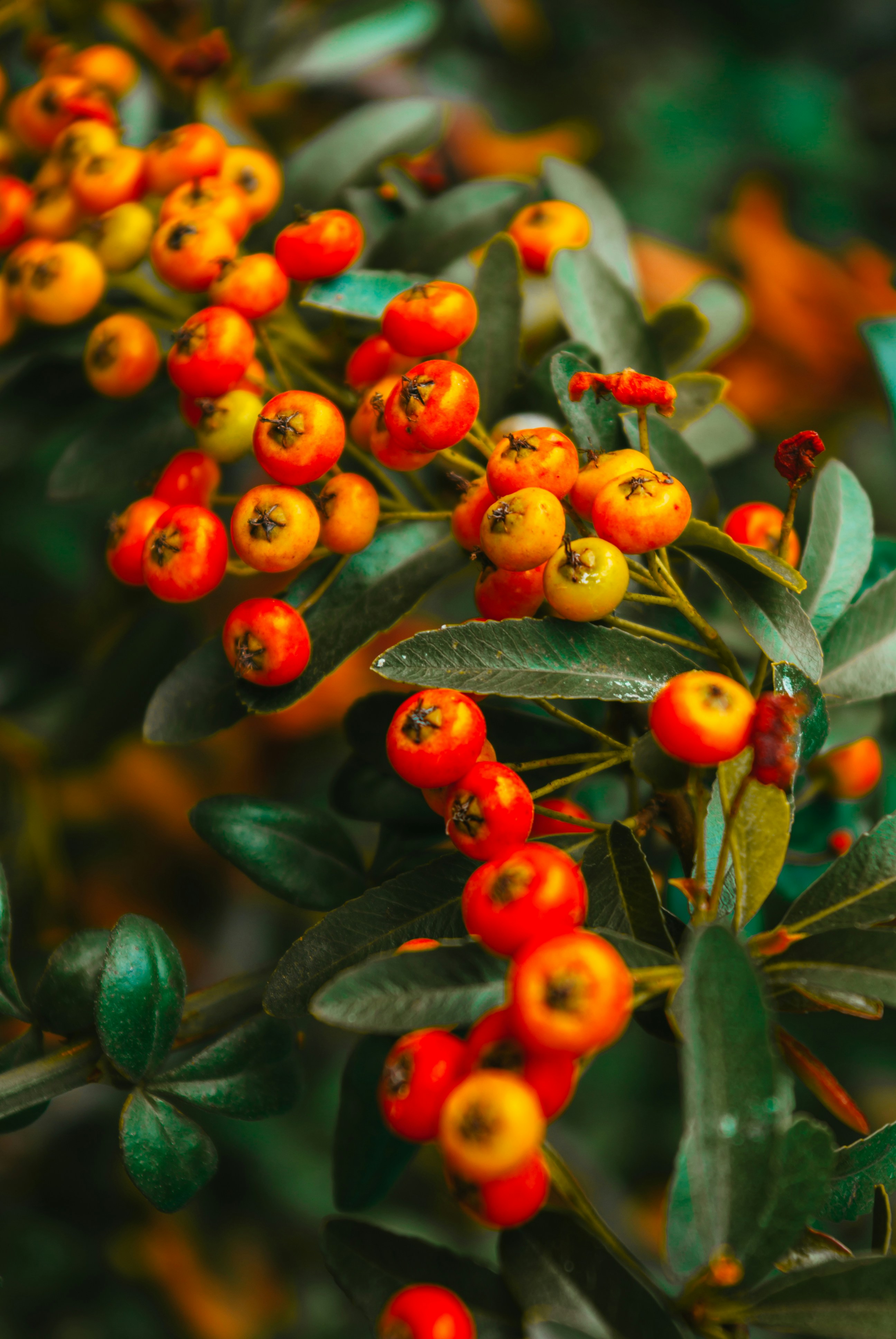 Photo by moonmoons_days