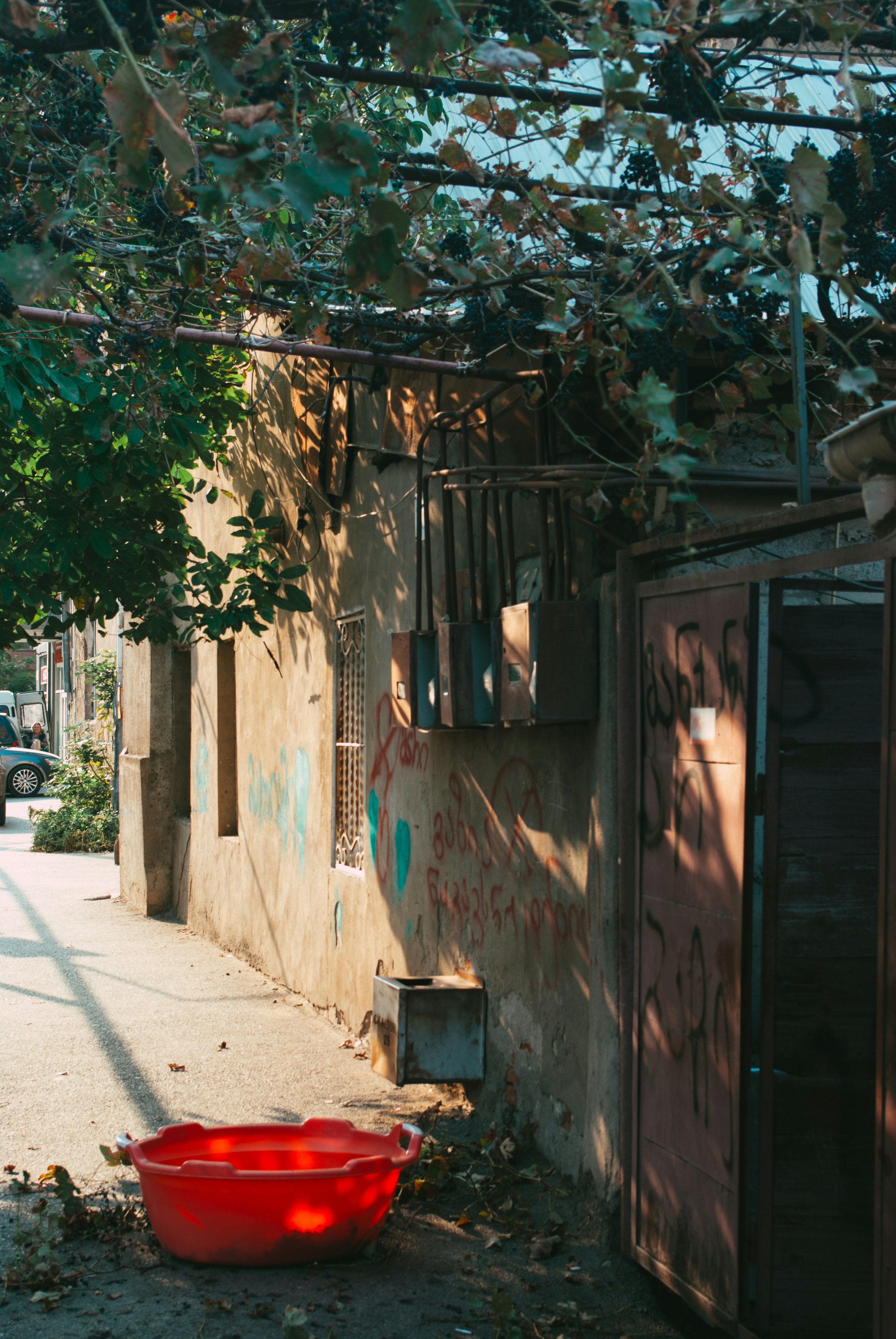 Photo by moonmoons_days