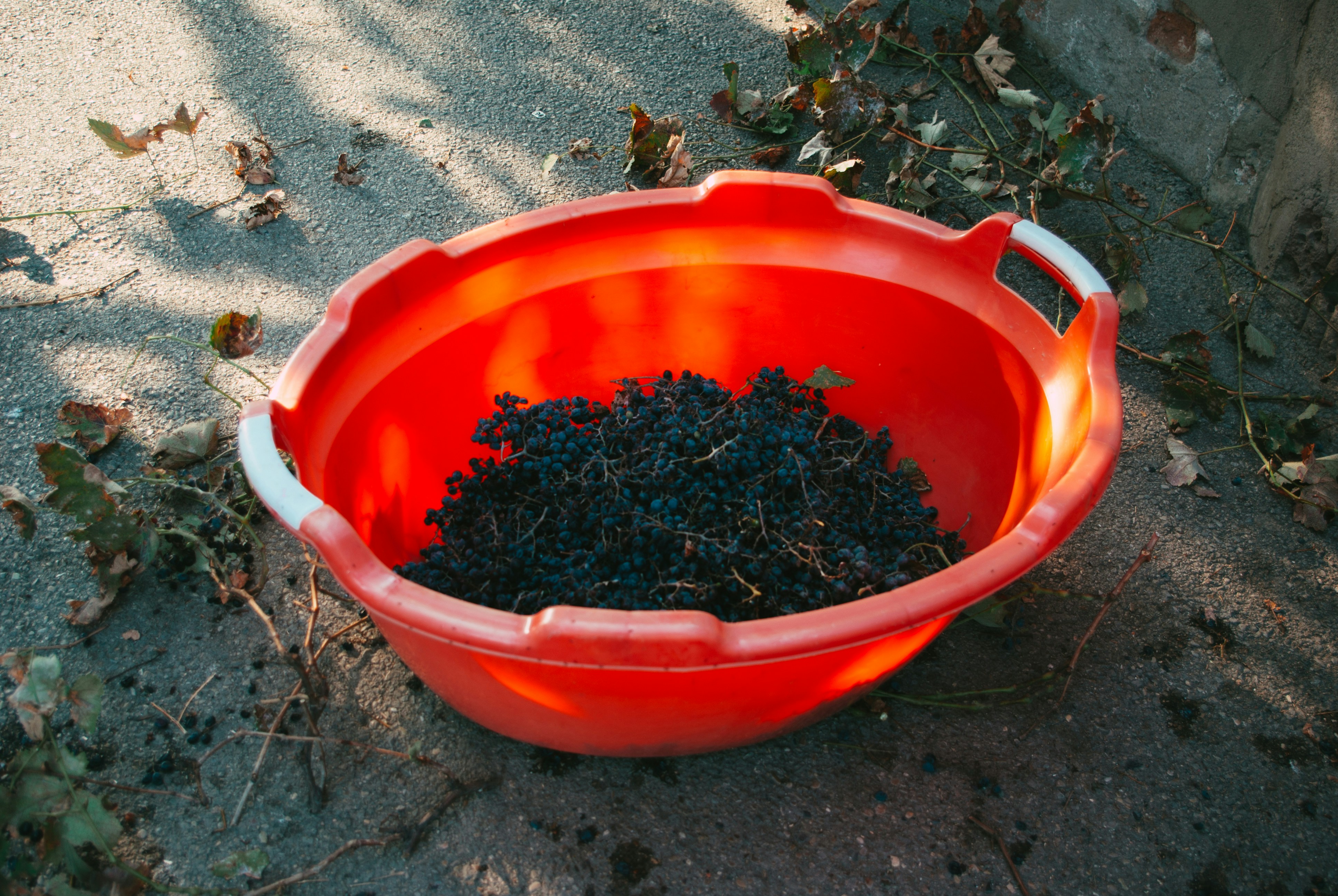 How to Start Composting at Home - step by step process guide