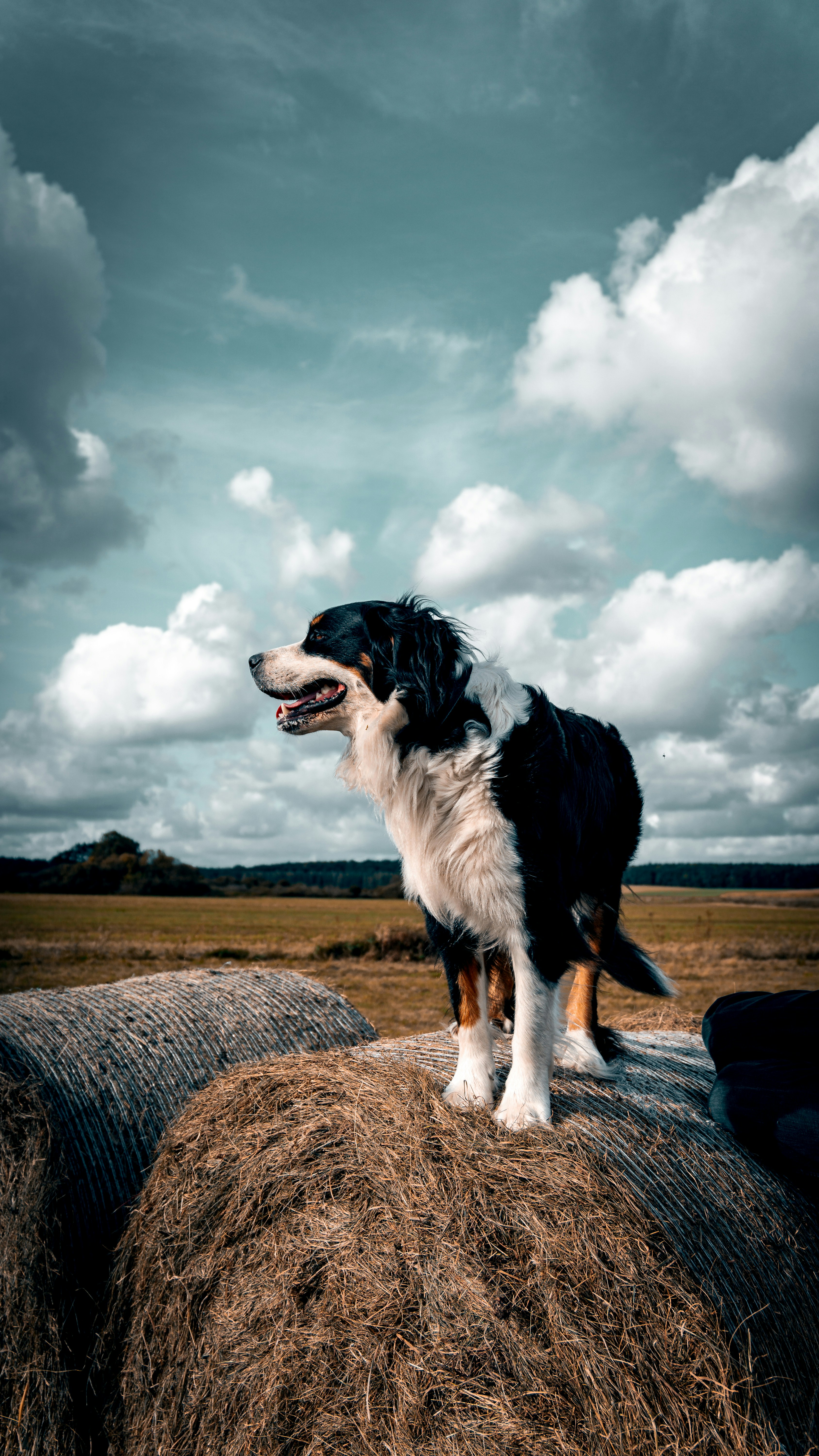 Photo by bielej