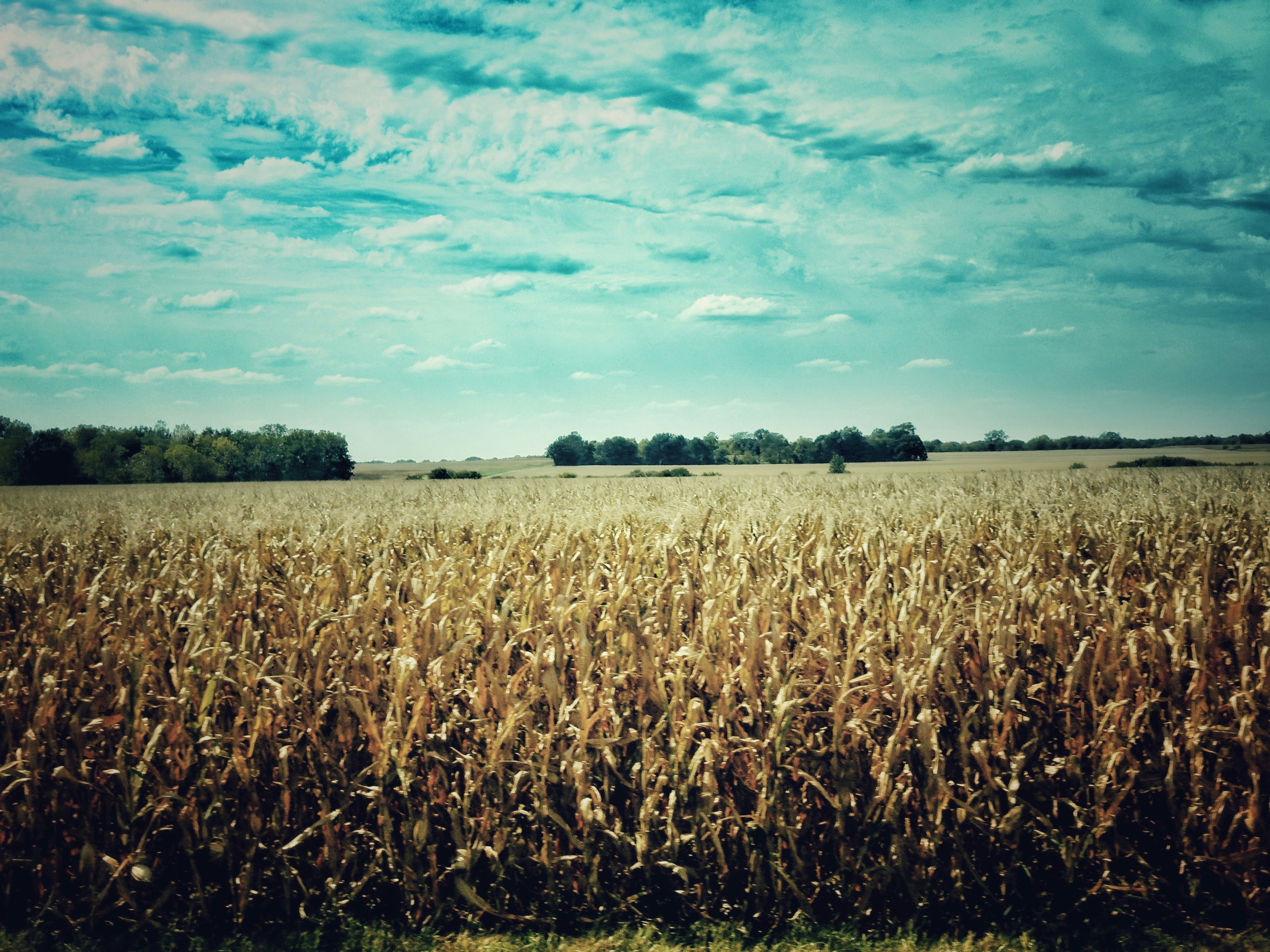 Photo by lesliebeasley