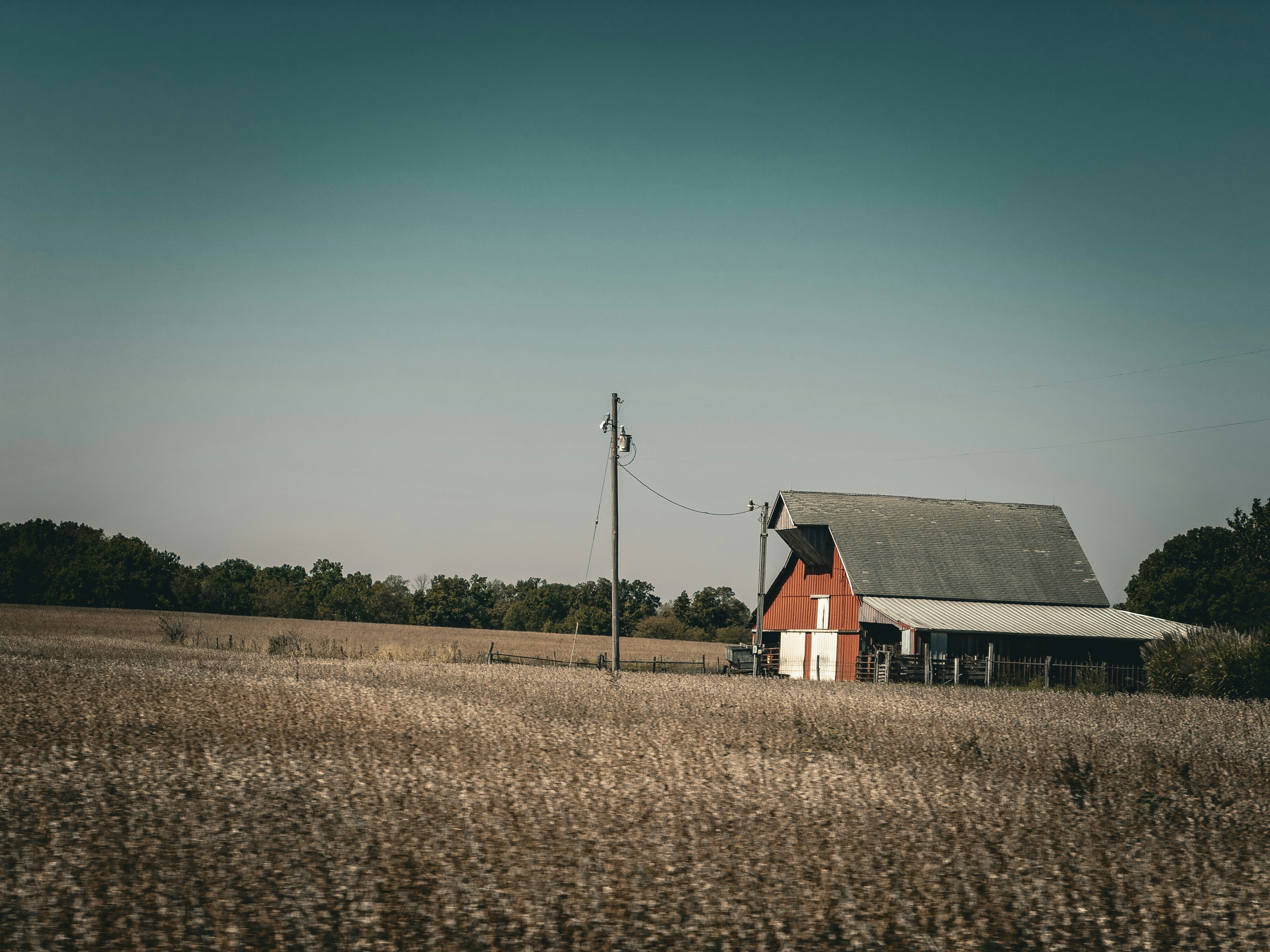 Custom Steel Structures for Sale