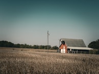 A rustic red barn stands amidst expansive fields, surrounded by open pastures and a line of trees in the distance under a clear blue sky. A utility pole with wires extends near the barn, adding a touch of infrastructure to the rural landscape.