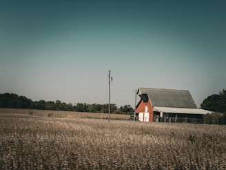 A rustic red barn stands amidst expansive fields, surrounded by open pastures and a line of trees in the distance under a clear blue sky. A utility pole with wires extends near the barn, adding a touch of infrastructure to the rural landscape.