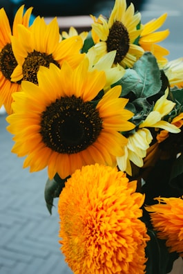 Bright sunflowers standing tall in a cheerful summer delivery box.