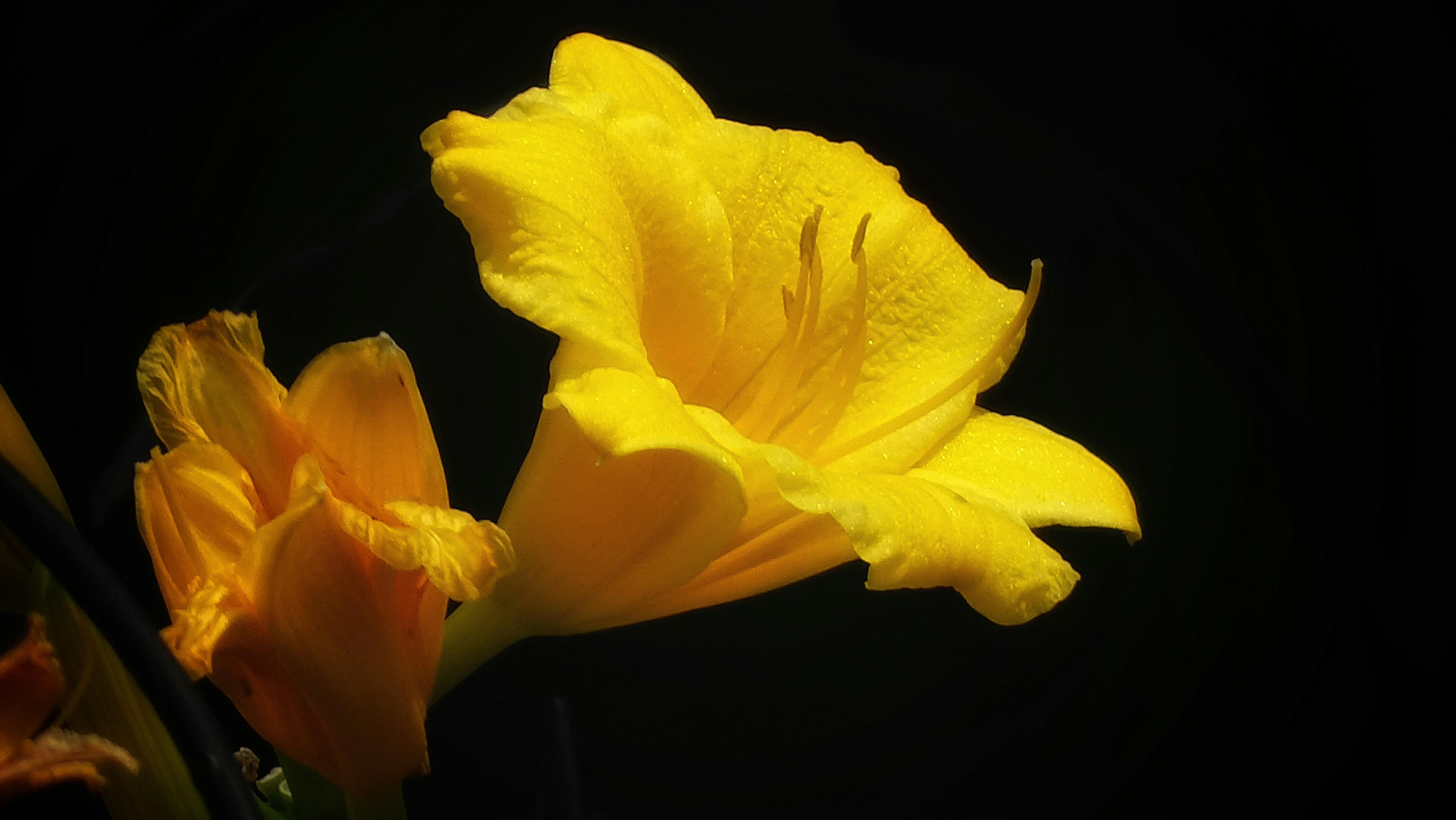 Photo by lesliebeasley