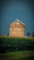 A large steel grain bin standing tall on a sunny farm field.