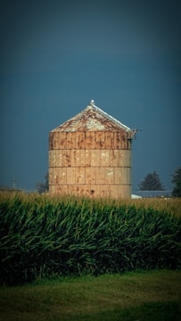 A large steel grain bin standing tall on a sunny farm field.