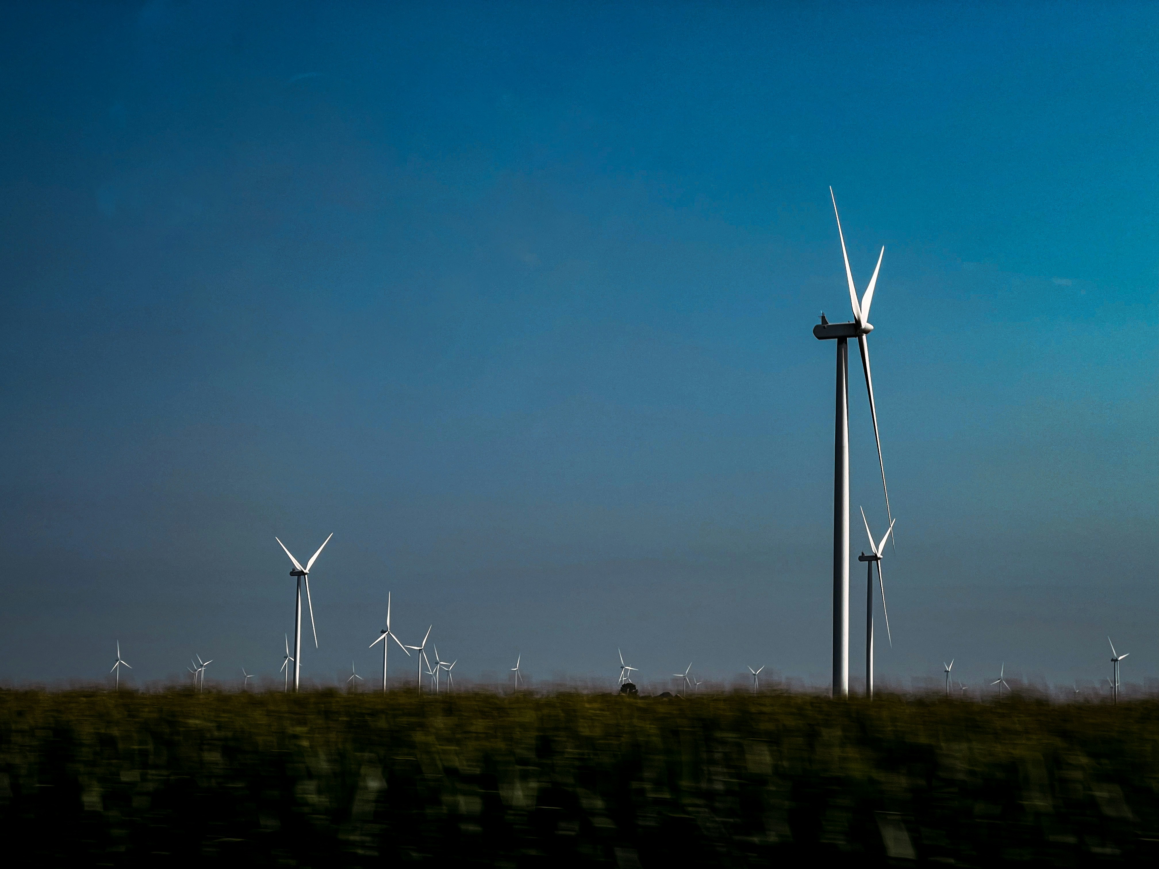 Photo by lesliebeasley