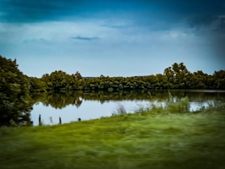 A serene landscape featuring calm waters reflecting lush greenery.