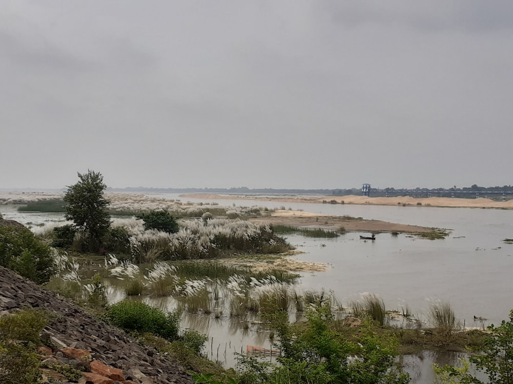 a view of a body of water from a hill