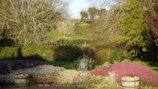 A vibrant garden featuring multiple solar powered pumps.