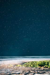 Starry night sky over a quiet beach, the perfect end to a day of travel.