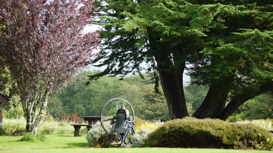 A peaceful garden landscape featuring a large evergreen tree on the right, a tree with reddish leaves on the left, and lush greenery all around. A metal bell structure stands in the middle, with a wooden bench in the background. The scene is serene, with a dense forest in the distance.