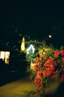 Pathway lit by subtle red lights leading through the naturist garden at twilight.