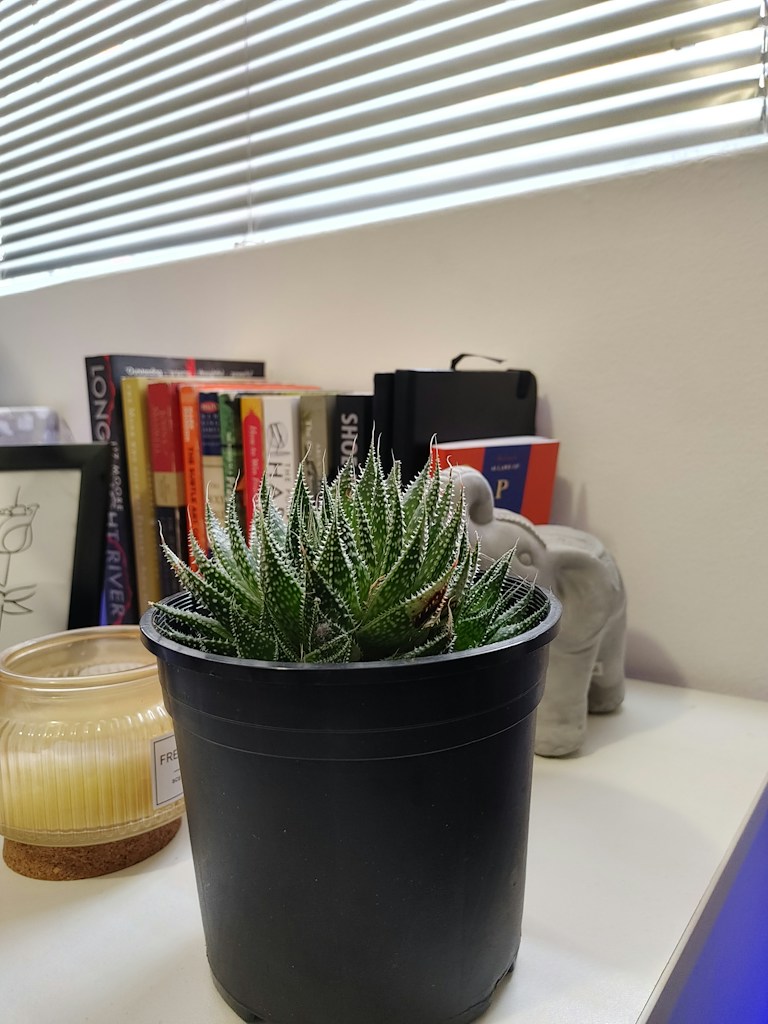 Geometric Shelf Accent
