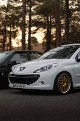 A white car with a visible logo is parked next to a black car in a forested area. The car has gold rims, and the trees in the background are tall and densely packed, with sunlight filtering through.