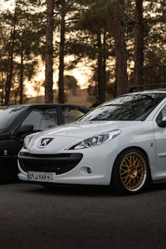 A white car with a visible logo is parked next to a black car in a forested area. The car has gold rims, and the trees in the background are tall and densely packed, with sunlight filtering through.