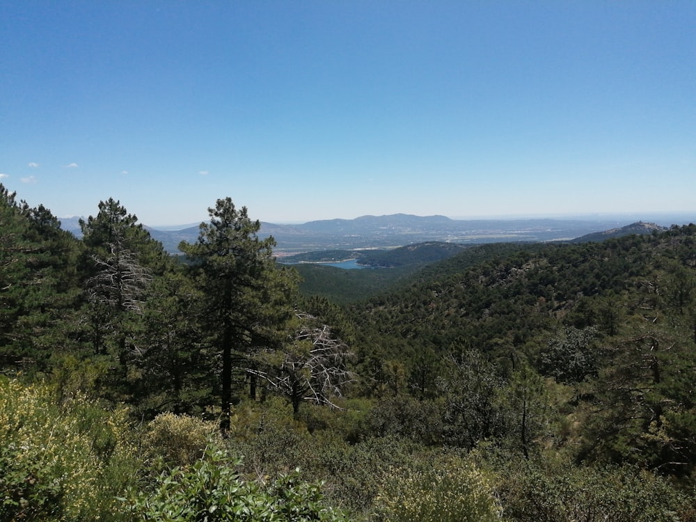 a view of a mountain range with a lake in the distance