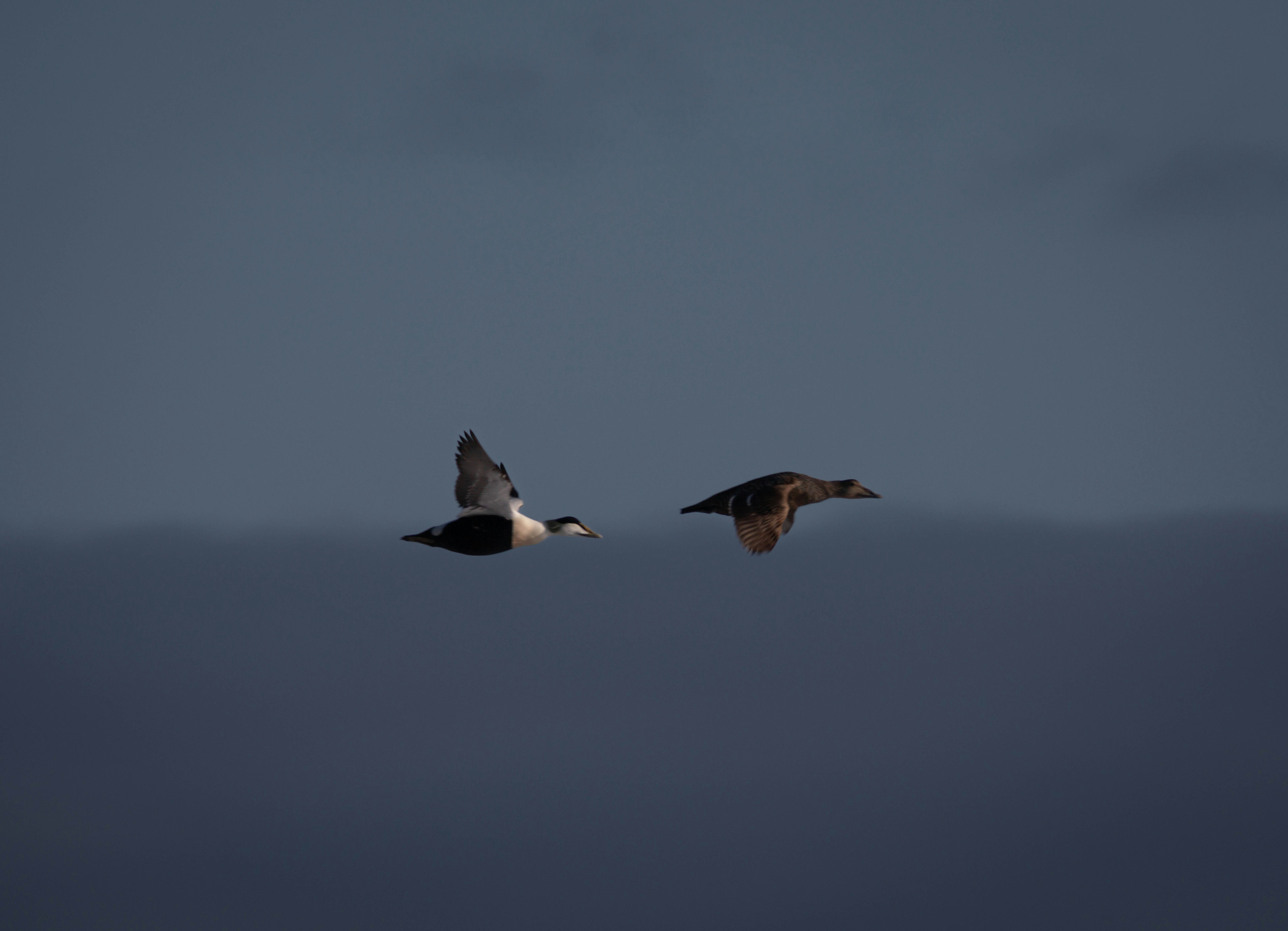Photo by hdbernd