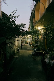 A dimly lit alleyway lined with potted plants and bicycles, bordered by residential buildings. Evening light casts shadows, creating a quiet, serene atmosphere. A few people are visible in the distance, adding a sense of life to the scene.