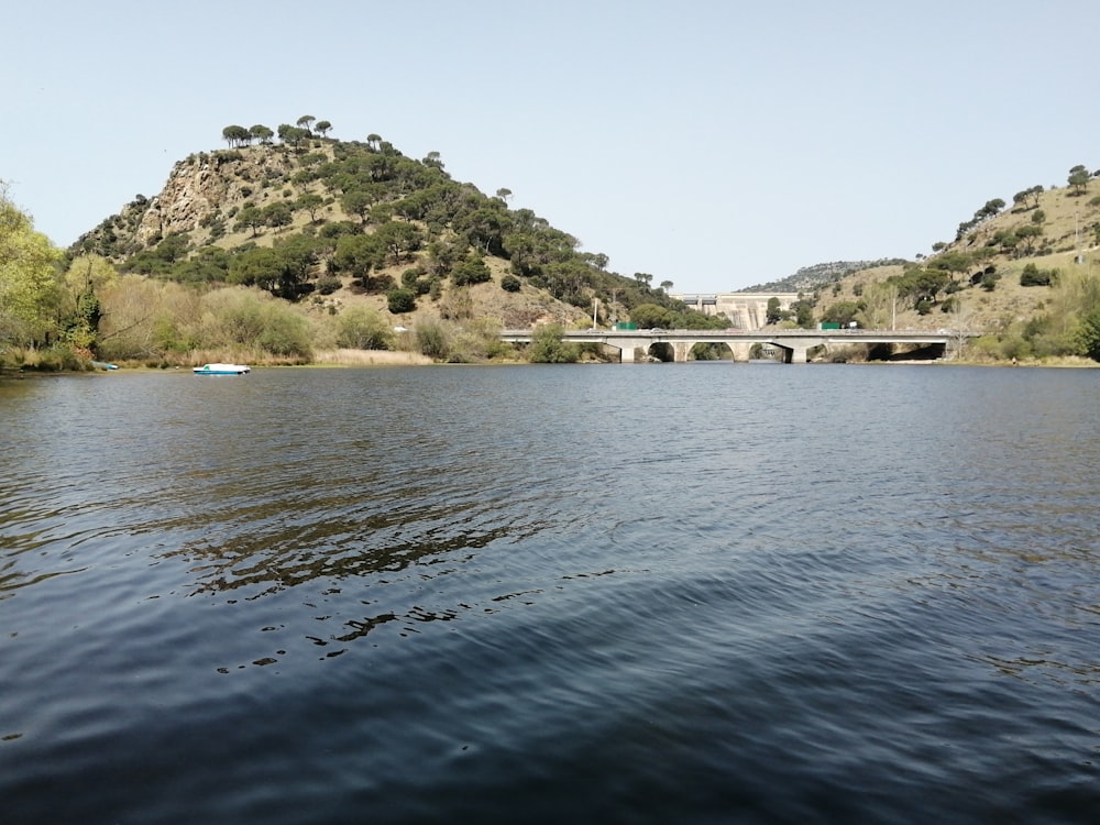 a body of water with a bridge in the background