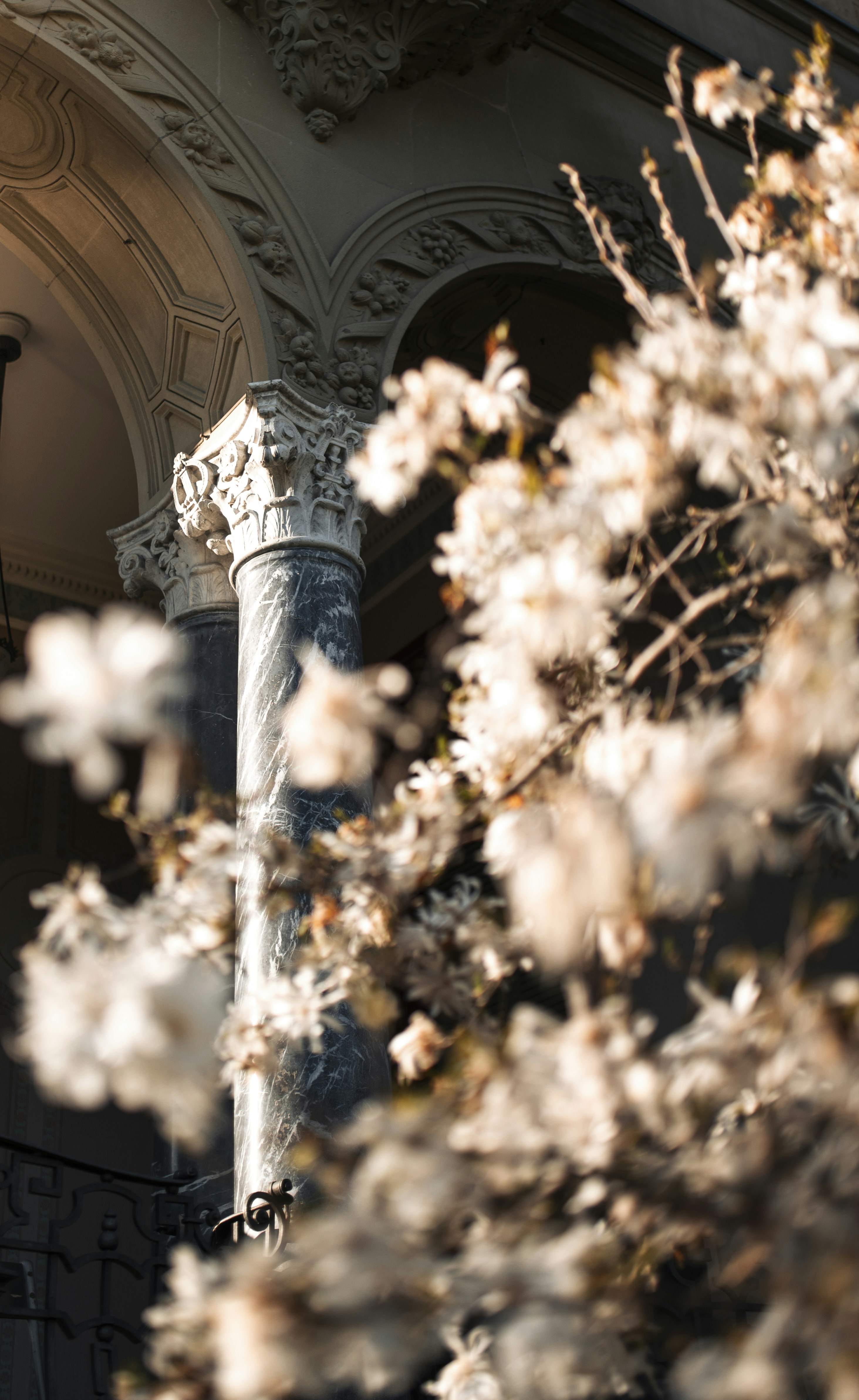 Photo by sven_pieren