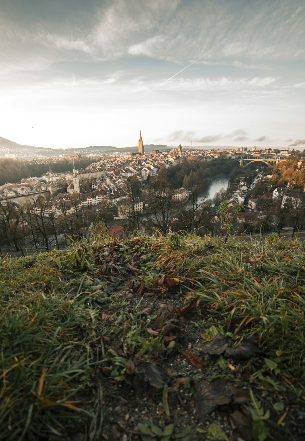 a view of a city from a hill