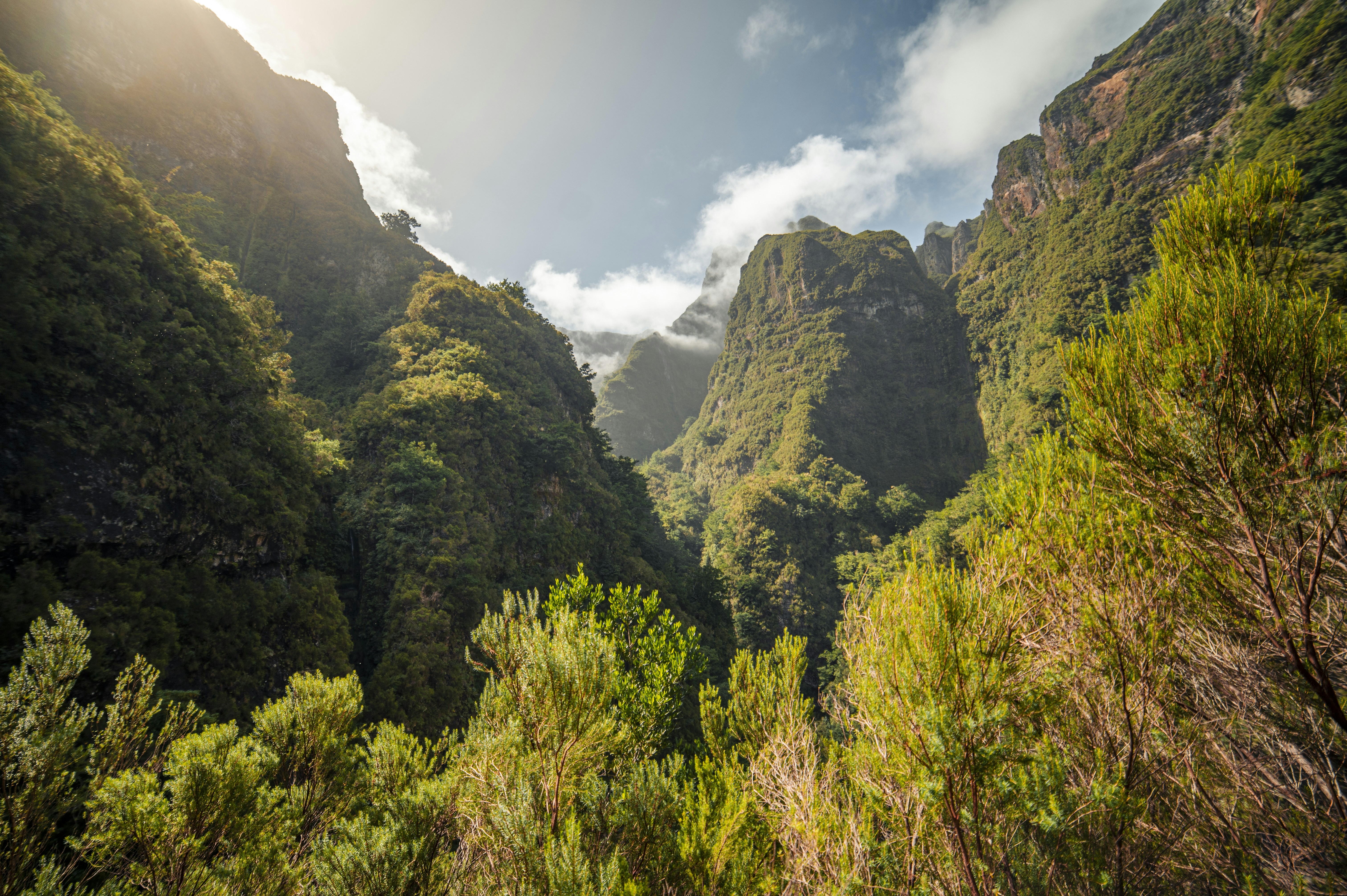 Photo by sven_pieren