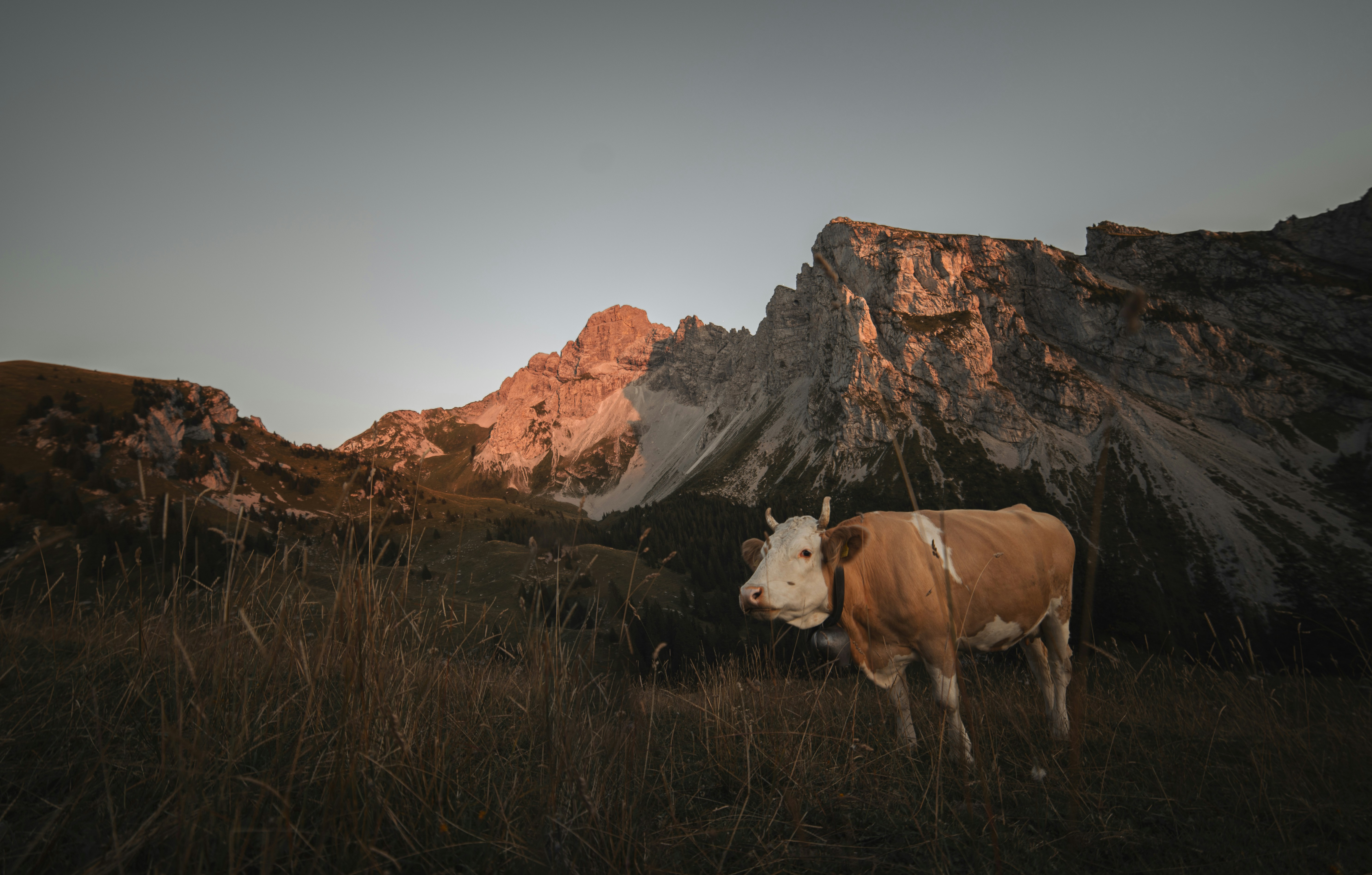 Photo by sven_pieren