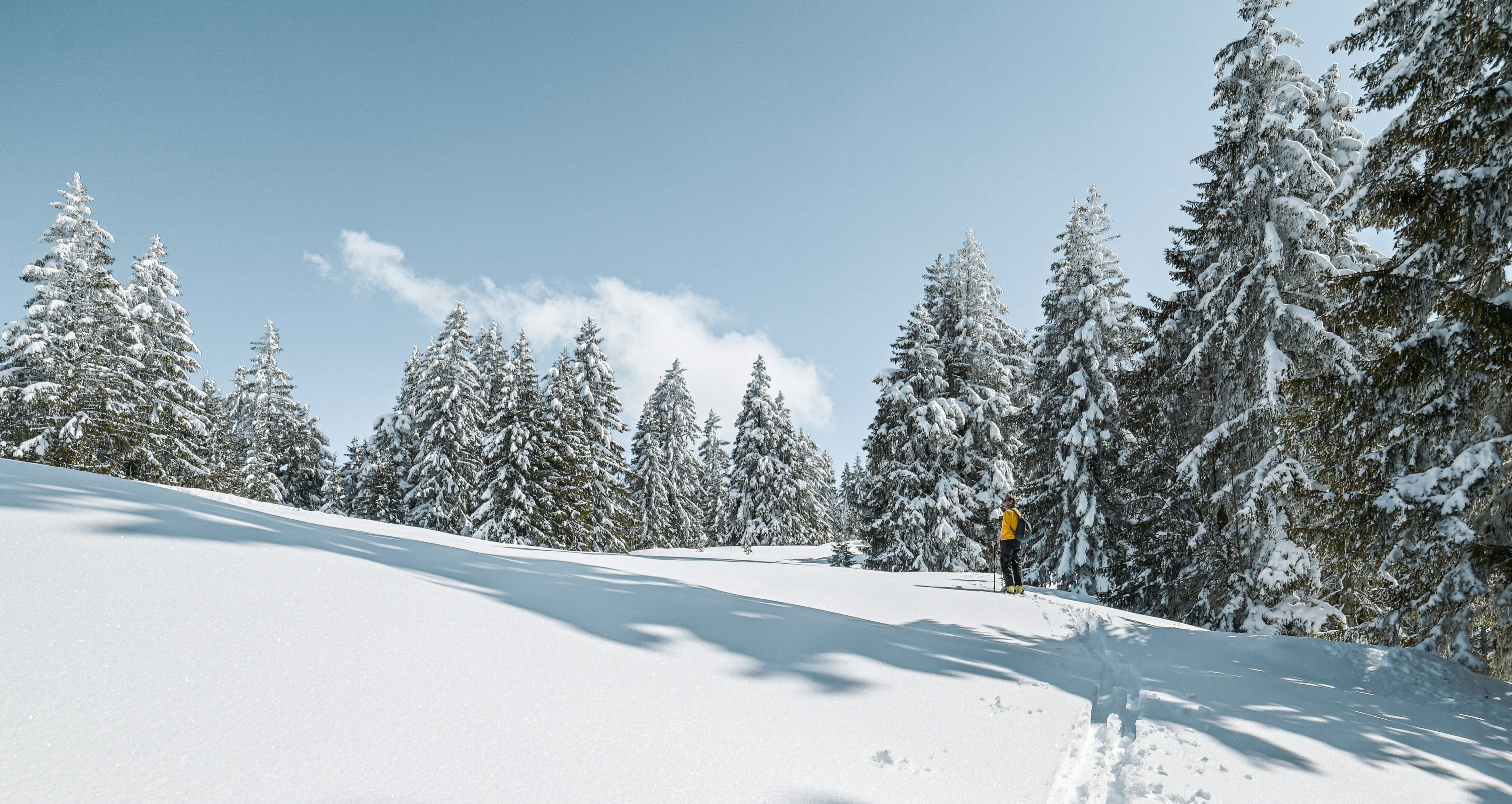 Photo by sven_pieren