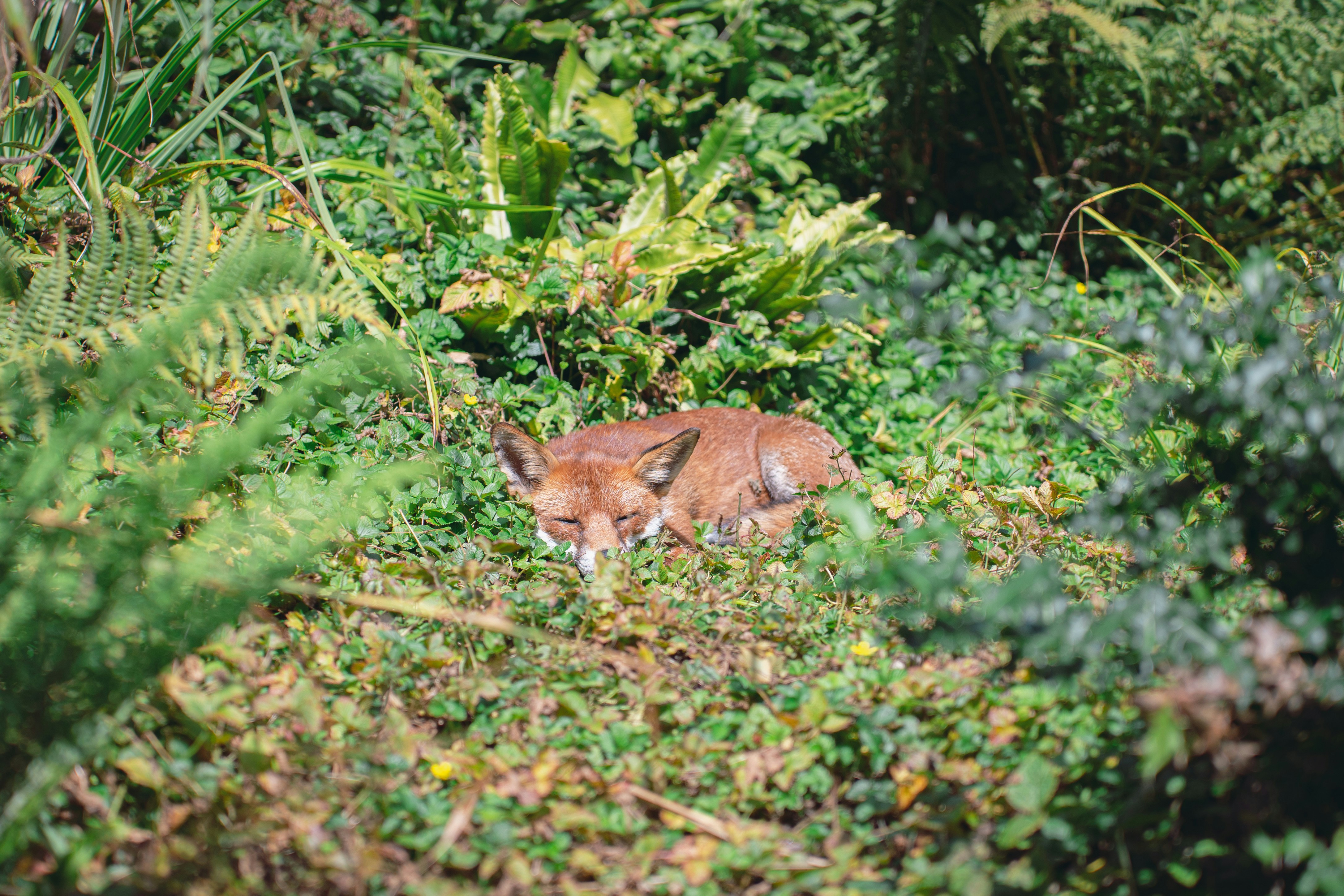 Photo by cioni_mattia